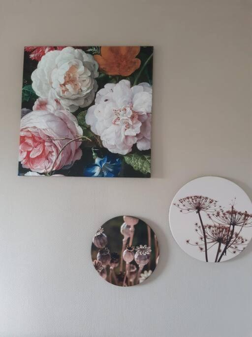 B&B Weidse Blik Ingelum Engelum ภายนอก รูปภาพ
